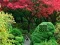 Logħba Maple Leaf Garden Escape onlajn