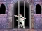 Logħba Victory Rabbit Escape onlajn