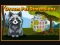 Logħba Dream Pet Dimensions onlajn
