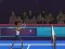 Logħba Badminton Brawl onlajn