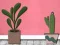 Logħba Find Houseplant onlajn