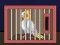 Logħba Release The Cockatiel Bird onlajn