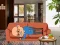 Logħba Wakeup The Grandpa onlajn