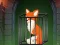 Logħba Fox in the Forgotten Ruins onlajn