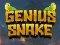 Logħba Genius Snake onlajn