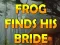 Logħba Frog Finds His Bride onlajn