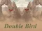 Logħba Double Bird onlajn