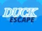 Logħba Duck Escape onlajn