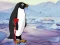 Logħba Heal the Wounded Penguin onlajn