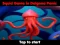 Logħba Squid Game In Dalgona Panic onlajn