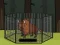 Logħba Rescue the Bison from Cage onlajn