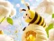 Logħba Find The Differences: Little Bee's Adventure onlajn