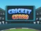 Logħba Cricket Craze onlajn