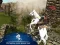 Logħba Ertugrul Gazi Horse Sim onlajn