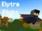 Logħba Elytra Flight onlajn