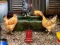 Logħba Poultry Farm Easter Escape onlajn