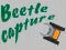 Logħba Beetle Capture onlajn