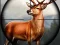 Logħba Animal Safari Hunter 2020 onlajn