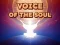 Logħba Voice Of The Soul onlajn