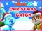 Logħba Nick Jr. Christmas Catch onlajn