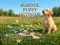 Logħba Playful Puppy Outdoor Puzzle onlajn