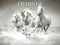 Logħba Horses Puzzle onlajn