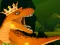 Logħba The Dino King onlajn