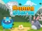 Logħba Bunny Storm onlajn