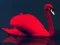 Logħba Love Birds Puzzle onlajn