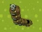 Logħba Zombie Worms onlajn