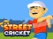 Logħba Street Cricket onlajn