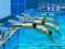 Logħba Swimming Pool Race onlajn