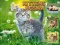 Logħba Kittens Jigsaw onlajn