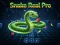 Logħba Snake Real Pro onlajn