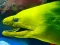 Logħba Underwater World Jigsaw onlajn