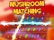 Logħba Mushroom matching onlajn