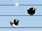 Logħba Gone with the Birds onlajn