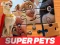 Logħba DC League of Super Pets Jigsaw Puzzle onlajn