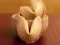 Logħba Fortune Cookies onlajn
