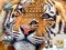 Logħba Jigsaw Puzzles Classic onlajn