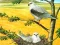 Logħba Birds Of Prey Puzzle onlajn