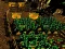 Logħba Pixel Farm onlajn