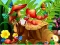 Logħba Hidden Objects Insects onlajn