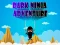 Logħba Dark Ninja Adventure onlajn