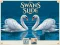 Logħba Swans Slide onlajn