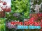 Logħba Spring Flowers: Hidden Objects onlajn