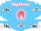 Logħba SkyAtoms onlajn