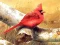 Logħba Art Birds Puzzle onlajn