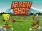 Logħba Arrow Shoot onlajn