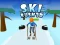 Logħba Ski Rush 3d onlajn